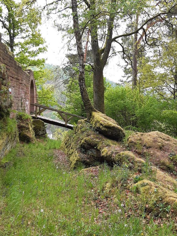 Fewo Jule Thaleischweiler-Froschen Esterno foto
